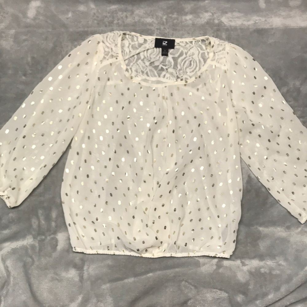 Sheer Blouse